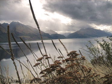 Neuseeland_SouthIsland_031