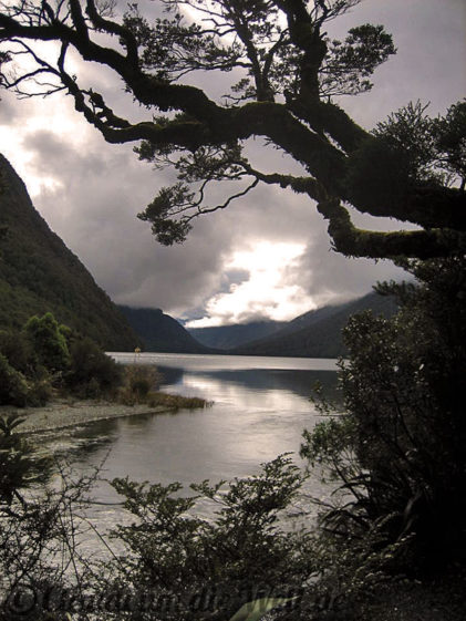 Neuseeland_SouthIsland_032