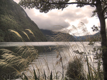 Neuseeland_SouthIsland_035