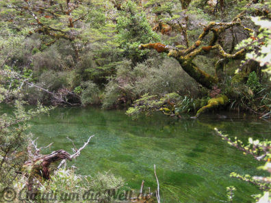 Neuseeland_SouthIsland_037