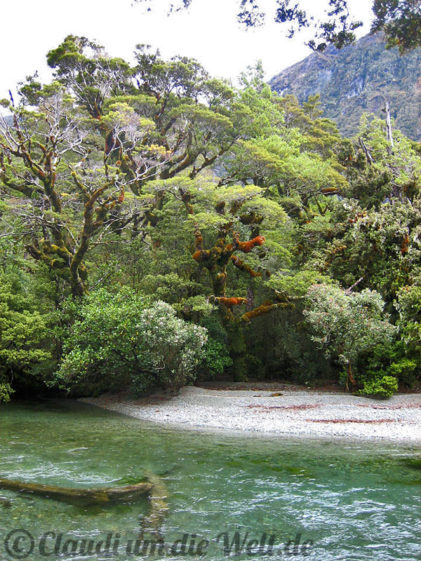 Neuseeland_SouthIsland_039b