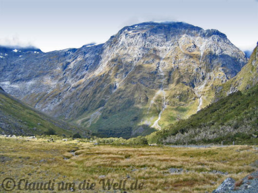 Neuseeland_SouthIsland_055