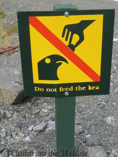 Neuseeland_SouthIsland_057