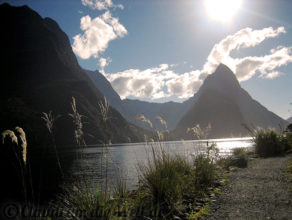 Neuseeland_SouthIsland_063