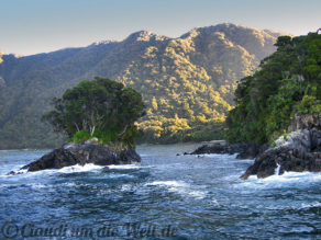 Neuseeland_SouthIsland_073