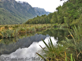 Neuseeland_SouthIsland_077