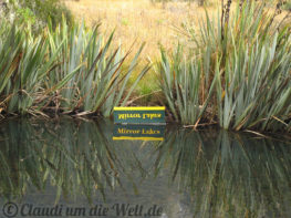 Neuseeland_SouthIsland_078