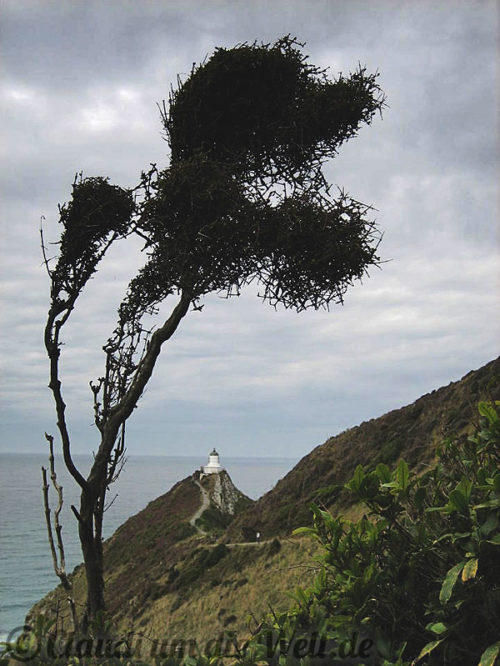 Neuseeland_SouthIsland_082