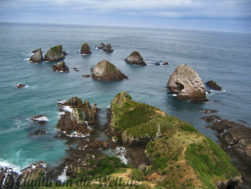 Neuseeland Nugget Point