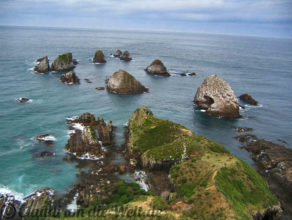 Neuseeland Nugget Point