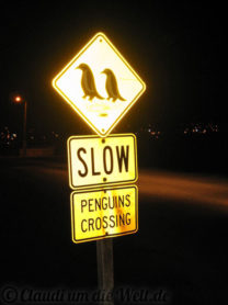 Neuseeland_SouthIsland_088