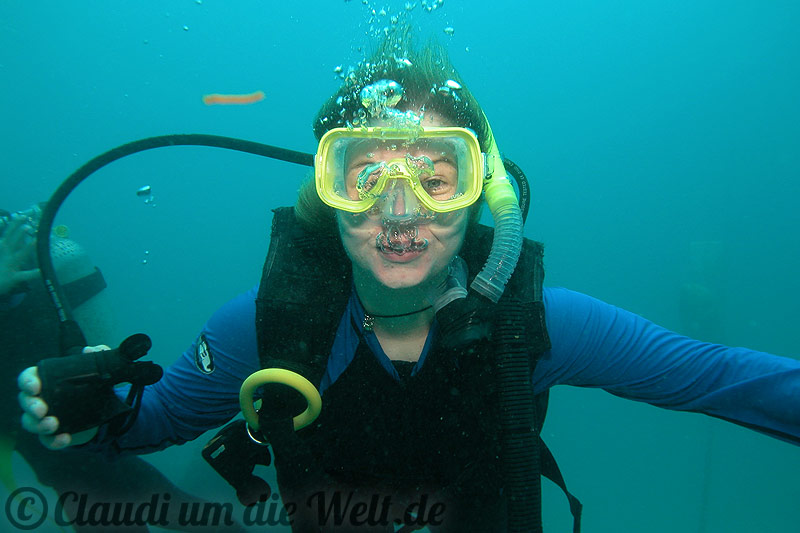 Tauchen am Riif