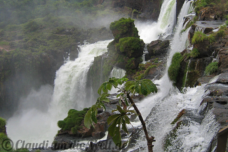 Iguazu Wasserfälle