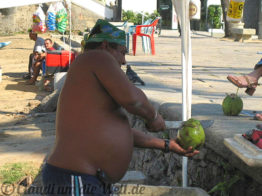 brasilien-rio-de-janeiro-coconut-1