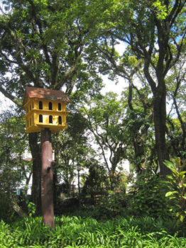 brasilien-rio-de-janeiro-taubenhausi