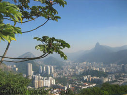 brasilien-rio-de-janeiro-vom zuckerhut