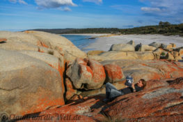 Tasmanien Strände und Findlinge