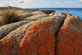 Tasmanien Strände und Findlinge