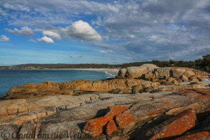 Tasmanien Strände und Findlinge
