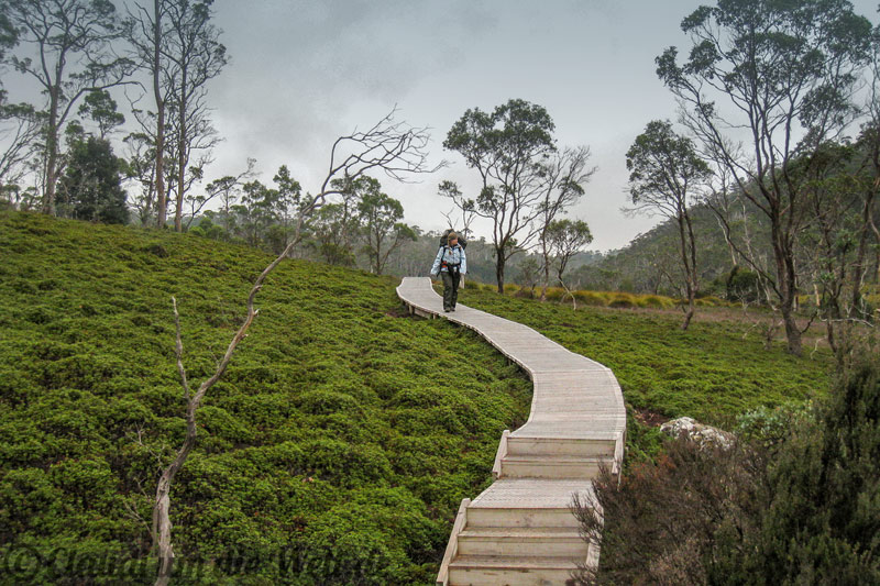 Overland Track Cradle Vally