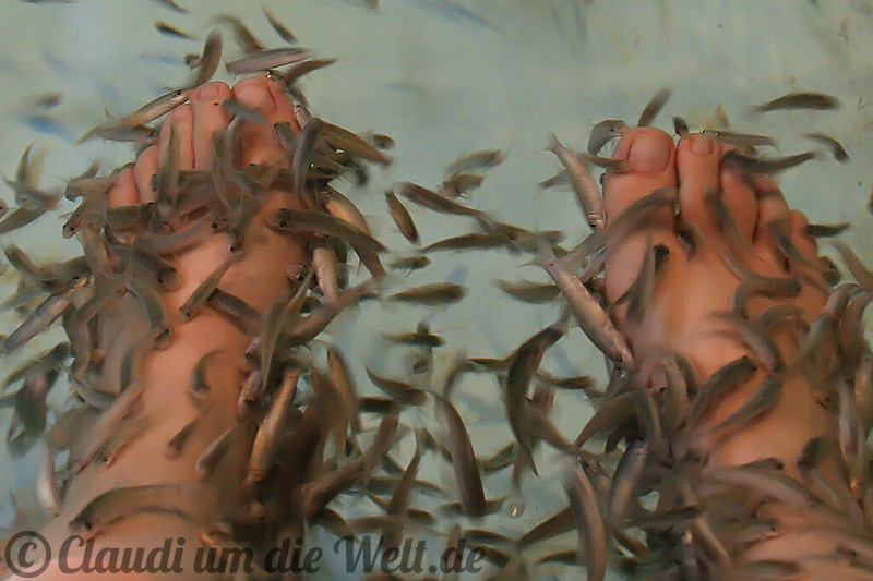 Fishreflexology