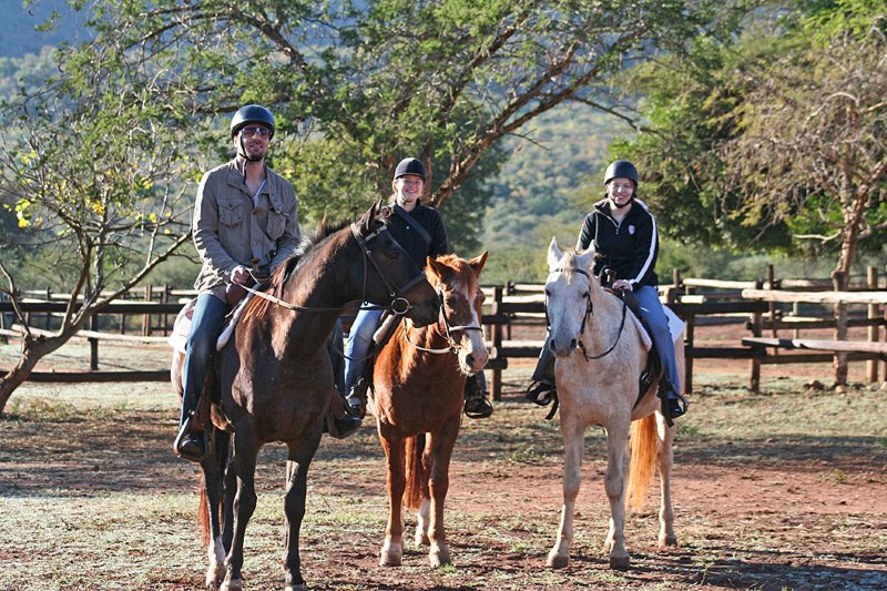 Reitsafari Südafrika