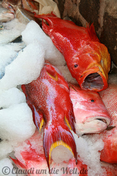 Frischer Fisch auf Victorias Markt