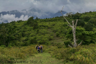 Arusha Nationalpark Safari