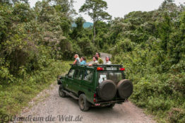 Arusha Nationalpark Safari