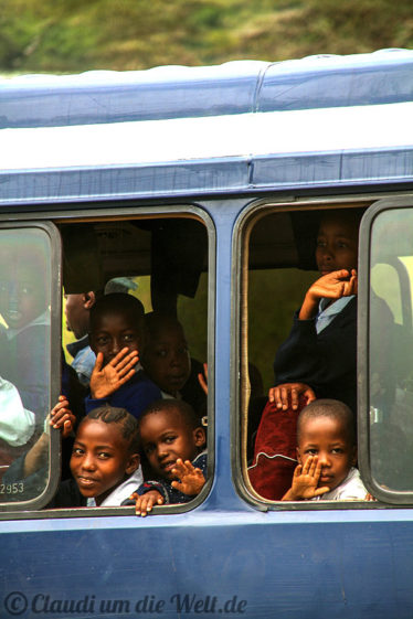 Arusha Nationalpark Safari