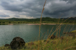 Arusha Nationalpark Safari