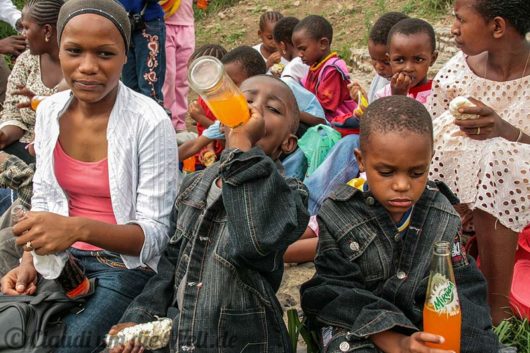 Arusha Nationalpark Safari