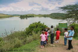 Arusha Nationalpark Safari