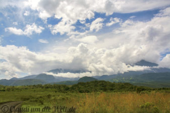 Arusha Nationalpark Safari