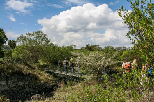 Arusha Nationalpark Safari
