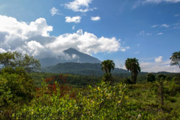 Arusha Nationalpark Safari