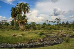 Arusha Nationalpark Safari