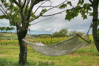 emilia-romagna-weinberg-hängematte