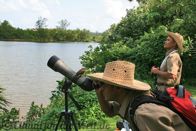 Ranger im Luxus-Resort