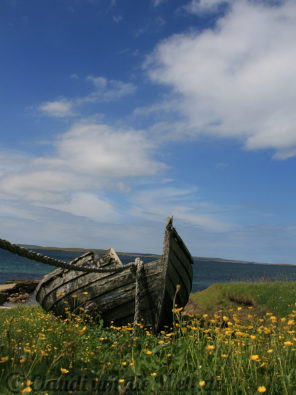 Shetland Fetlar
