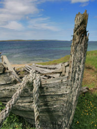 Shetland Fetlar