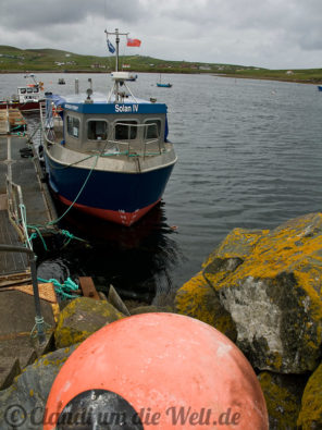 Shetland Hafen boot