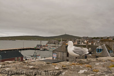 Shetland Lerwick
