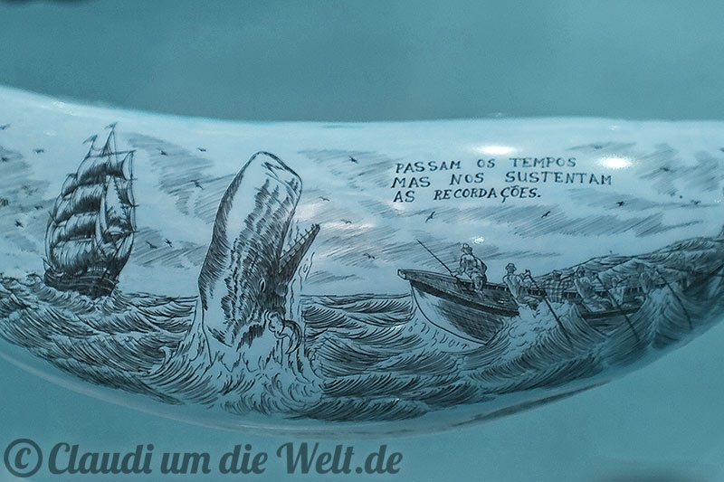 Scrimshaw auf den Azoren