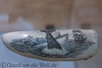 Scrimshaw auf einem Pottwahlzahn - im Walfangmuseum von Lajes do Pico