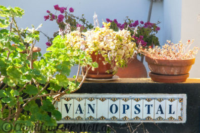 Van Opstal