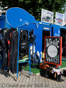 Whale watching Anbieter im Hafen von Faial