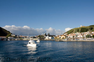 Ausfahrt zum Whale watching ab Horta