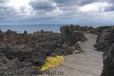 Lavaküste bei Madalena auf Pico.