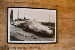 Walfangmuseum von São Roque